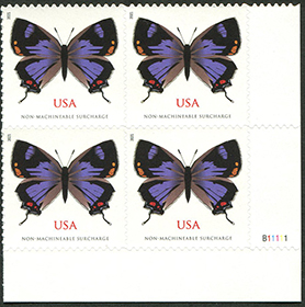 Colorado's Hairstreak Butterfly Featured on New Stamp for
