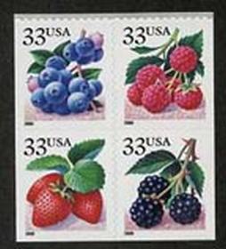 U.S. #3297e Berries Block of 4, (2000) MNH