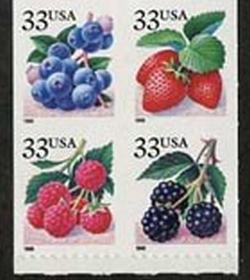 U.S. #3301d Berries Block of 4 (1999) MNH
