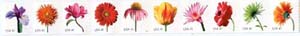 U.S. #4175a Beautiful Blooms Coil of 10 MNH