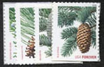 U.S. #4478-81 Holiday Evergreens, 4 Singles