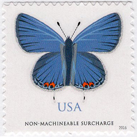U.S. #5136 Eastern Tailed-Blue Butterfly