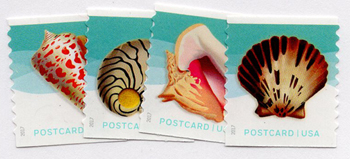U.S. #5167-70 Seashells, 4 Singles
