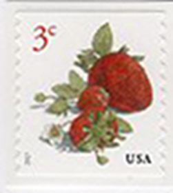 U.S. #5201 Strawberry Coil