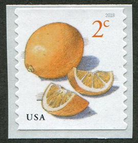 U.S. #5256 Lemon Coil