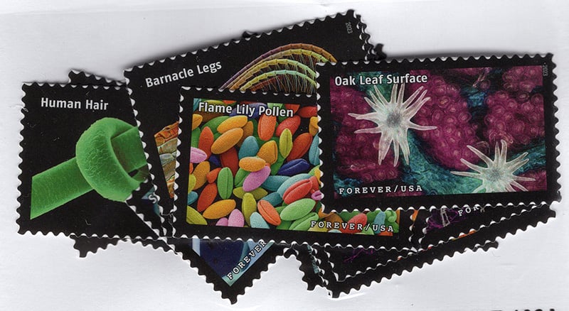 U.S. #5802 Life Magnified, 20 Singles