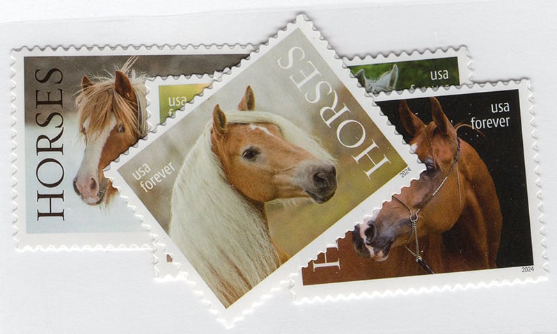 U.S. #5891-95 Horses, 5 Singles