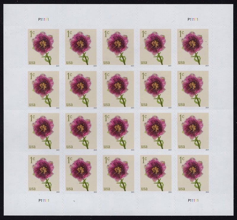 U.S. #5897 Fringed Tulip 1c Pane of 20