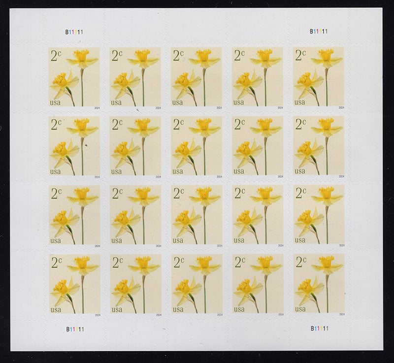 U.S. #5898 Daffodils 2c Pane of 20