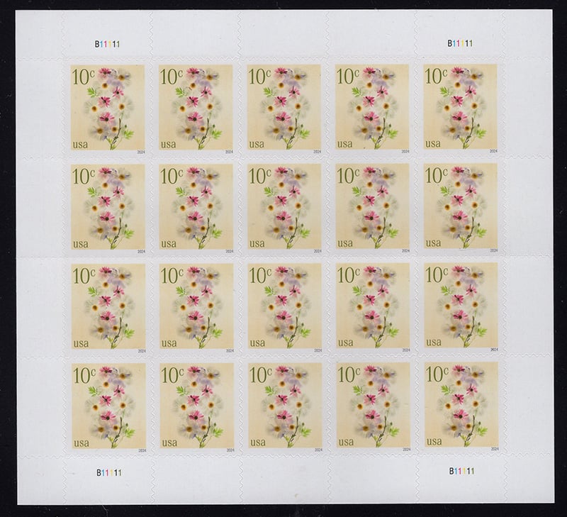 U.S. #5901 Poppies and Coneflowers, 10c  Pane of 20