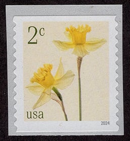 U.S. #5903 Daffodils 2c coil