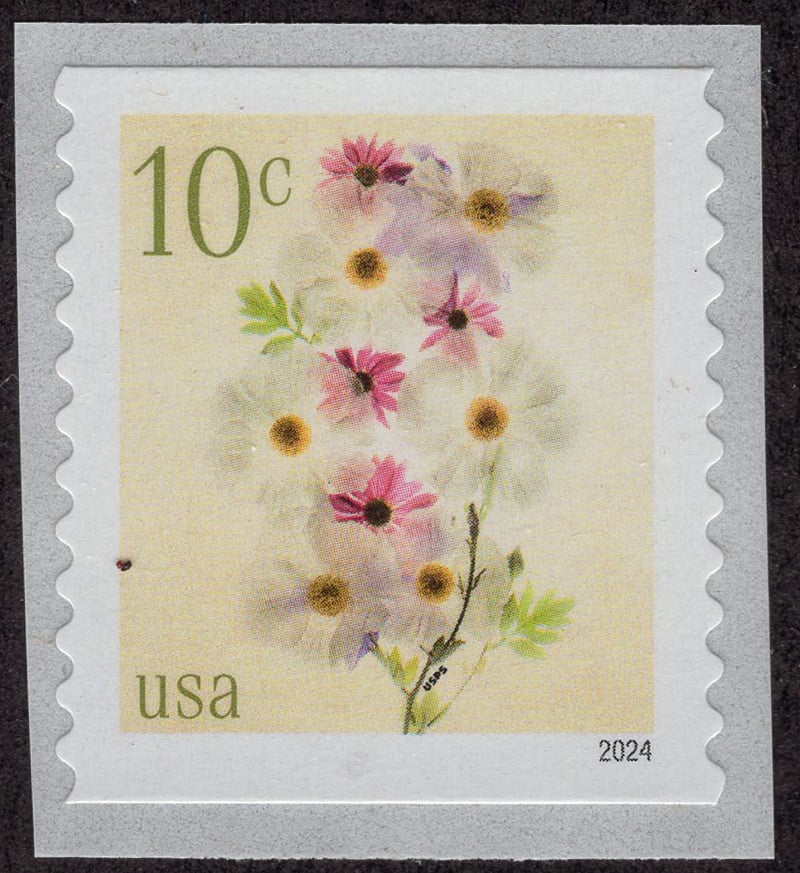 U.S. #5906 Poppies and Coneflowers 10c coil