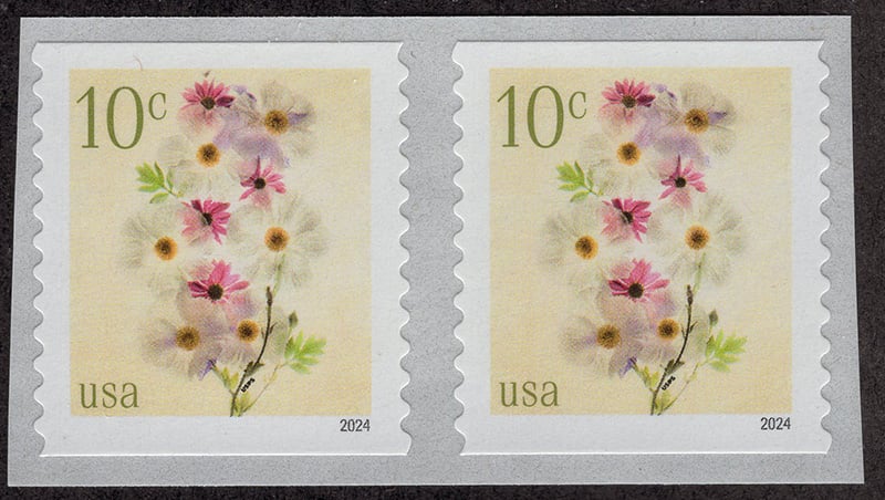 U.S. #5906 Poppies and Coneflowers, 10c coil pair