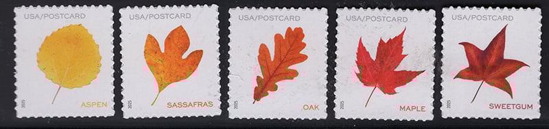 U.S. #5966-70 Vibrant Leaves, 5 singles (from pane)