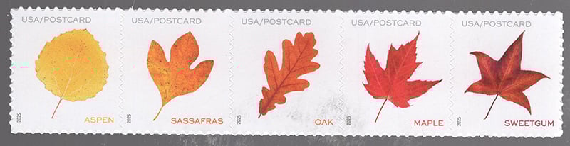 U.S. #5970a Vibrant Leaves, strip of 5 (from pane)