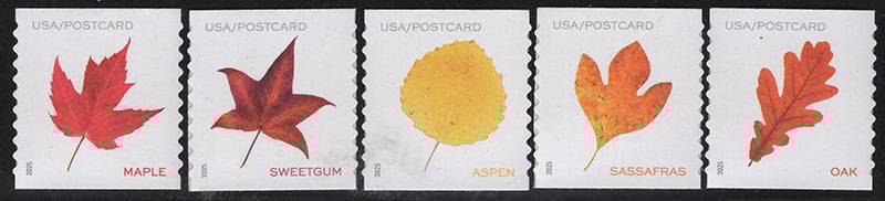 U.S. #5971-75 Vibrant Leaves coil, 5 singles