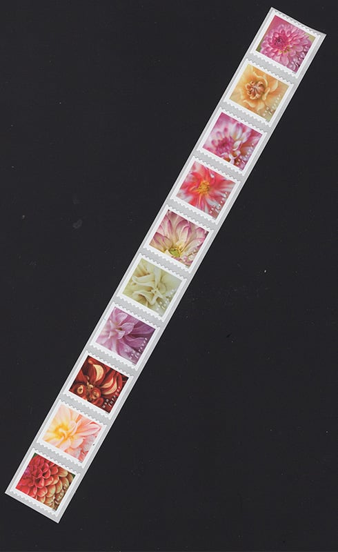 U.S. #5991a Dahlias, coil of 10