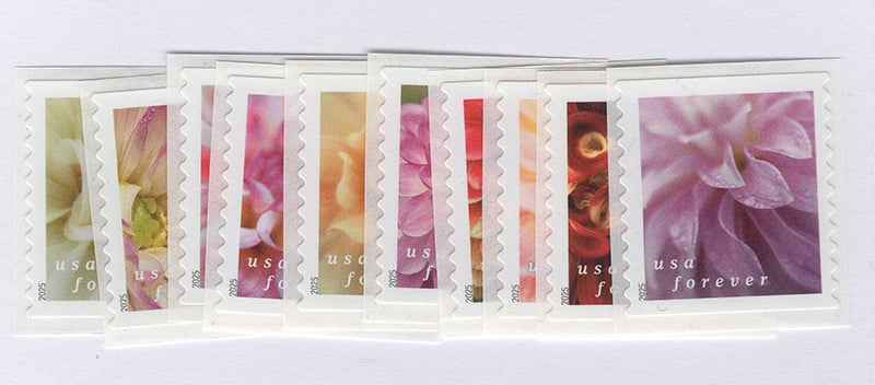 U.S. #5982-91 Dahlias, 10 coil singles