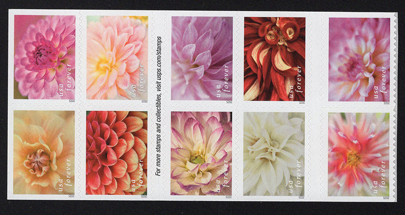 U.S. #6001a Dahlias Block of 10 from booklet