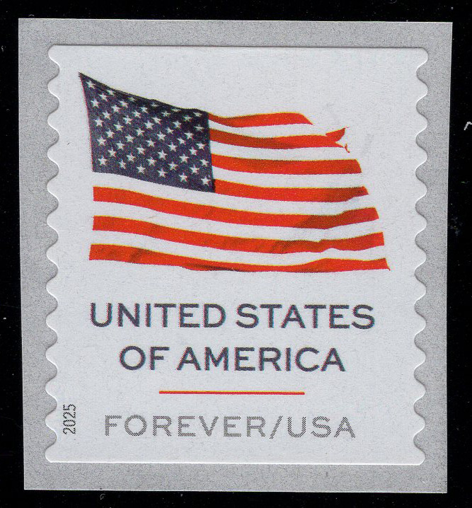 U.S. #6018 U.S. Flag 2025 APU coil