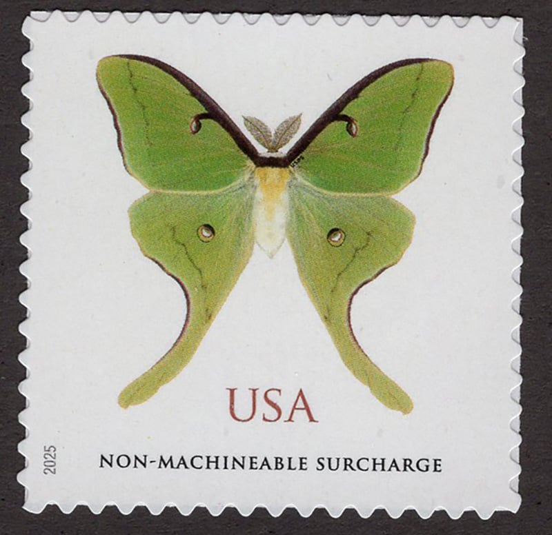 U.S. #6031 Luna Moth, non machinable rate