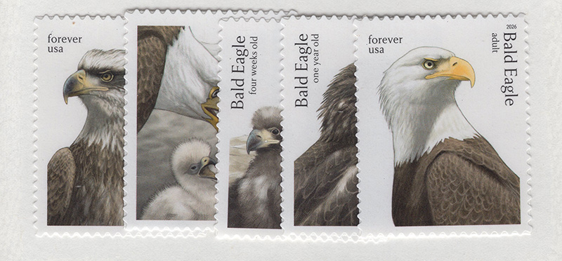 U.S. #6082-86 Bald Eagles, 5 singles