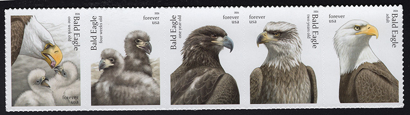 U.S. #6086a Bald Eagles, Strip of 5