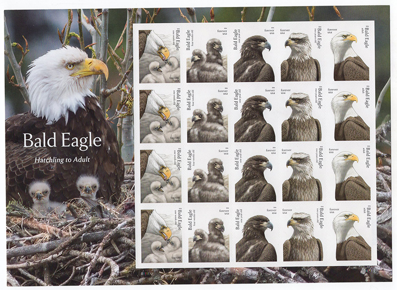 U.S. #6086 Bald Eagles, Pane of 20