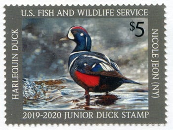 U.S. #JDS27 Junior Duck Stamp - 2019 MNH