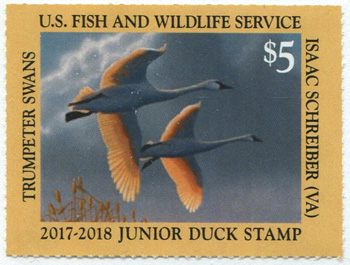 U.S. #JD25 Junior Duck Stamp 2017 MNH