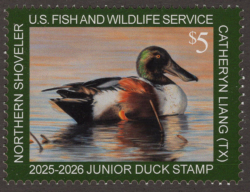 U.S. #JDS33 Junior Duck Stamp 2025