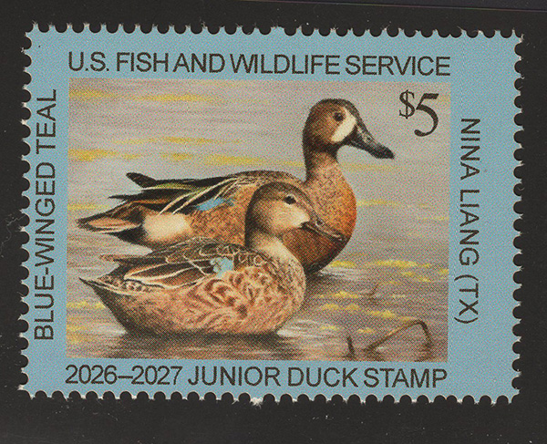 U.S. #JDS34 2026 Junior Duck Stamp