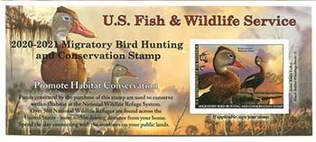U.S. #RW87A Black-Bellied Whistling Duck 2020 Souvenir Sheet