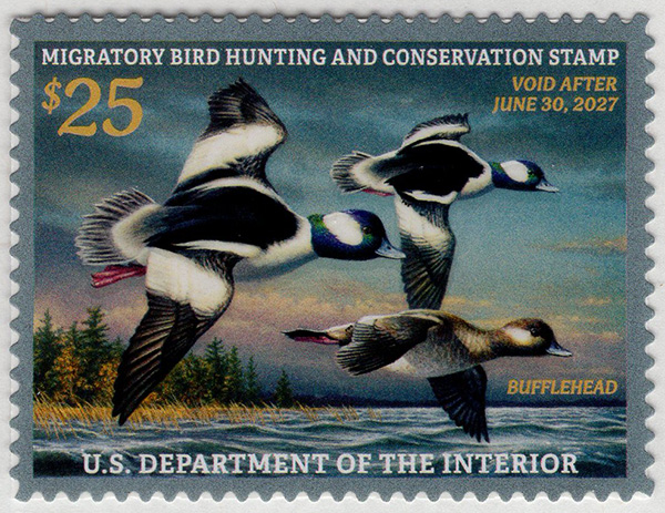 U.S. #RW93  2026 Duck Stamp
