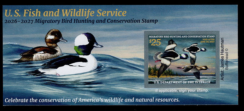 U.S. #RW93A  2026 Duck Stamp, Souvenir Sheet