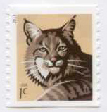U.S. #4802 1c Bobcat coil