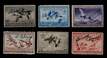 Federal Duck Stamps, Group of 6
