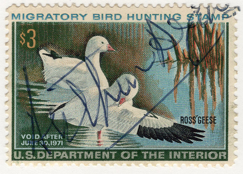 U.S. #RW37 Signed